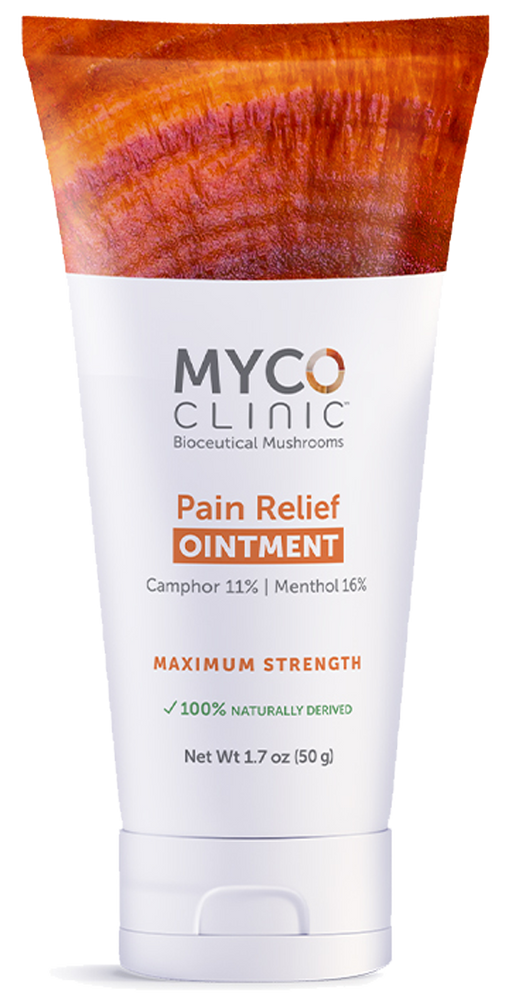 Pain Relief Ointment Maximum Strength 1.7 oz