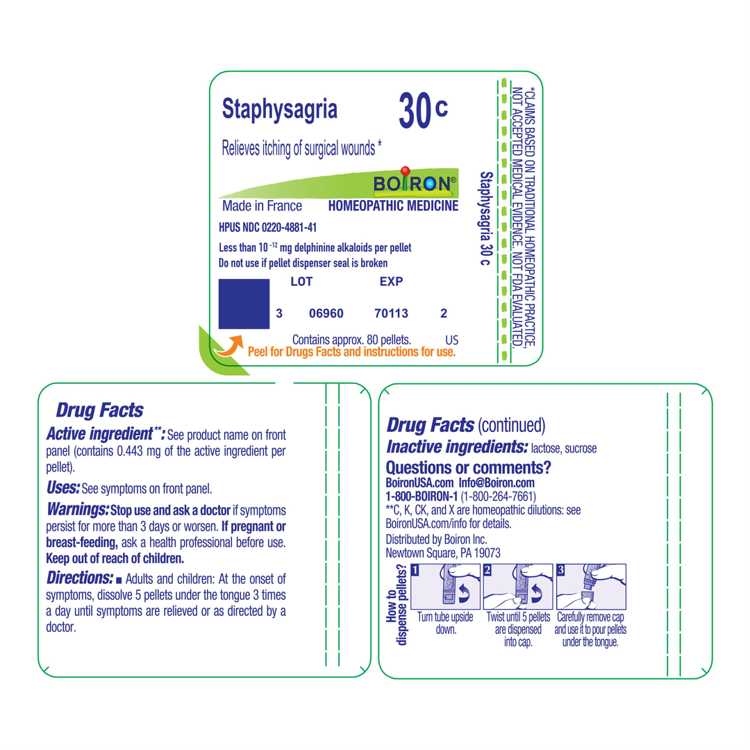 Staphysagria 30C 80 Pellets