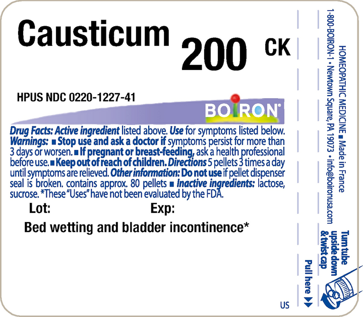 Causticum 200CK 80 Pellets