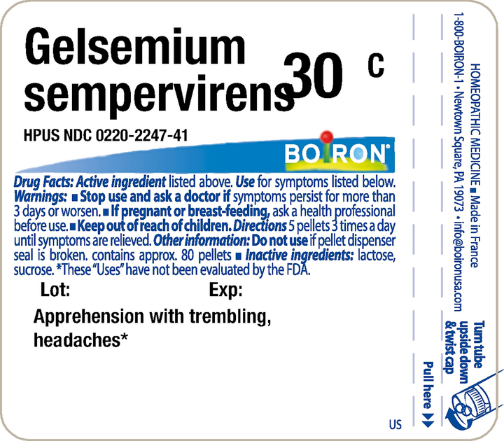 Gelsemium sempervirens 30c 80 Pellets