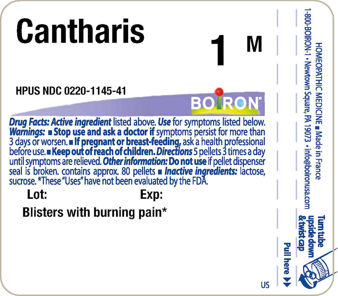 Cantharis 1M 80 Pellets