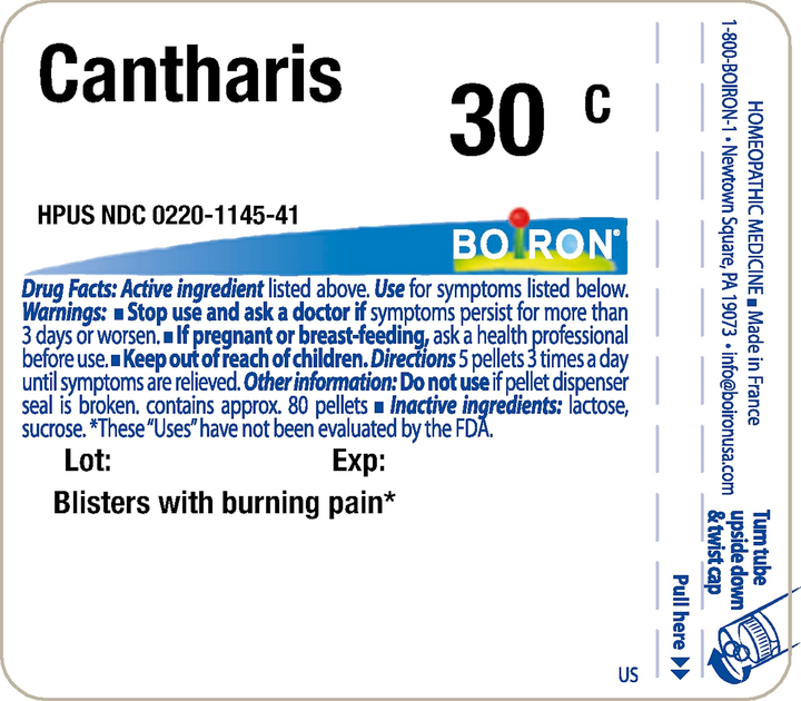 Cantharis 30C 80 Pellets