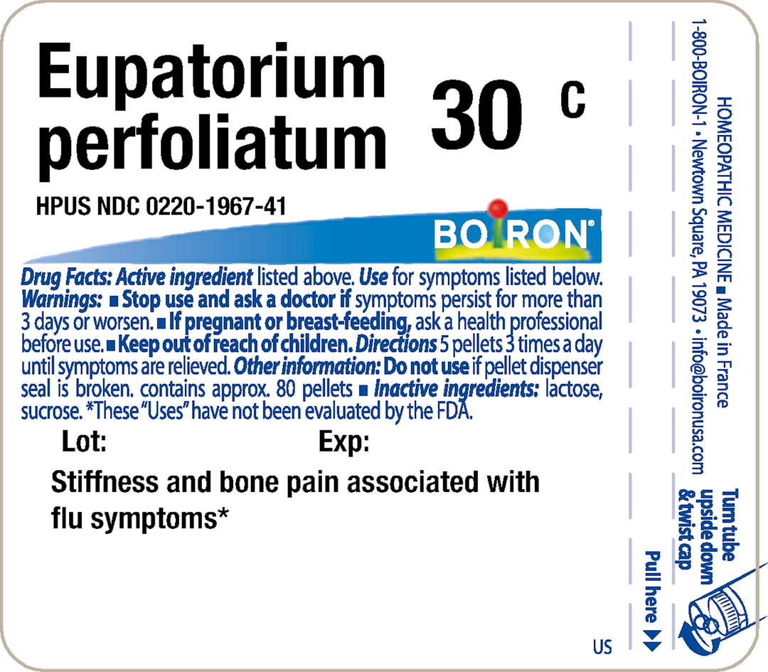 Eupatorium perfoliatum 30C 80 Pellets