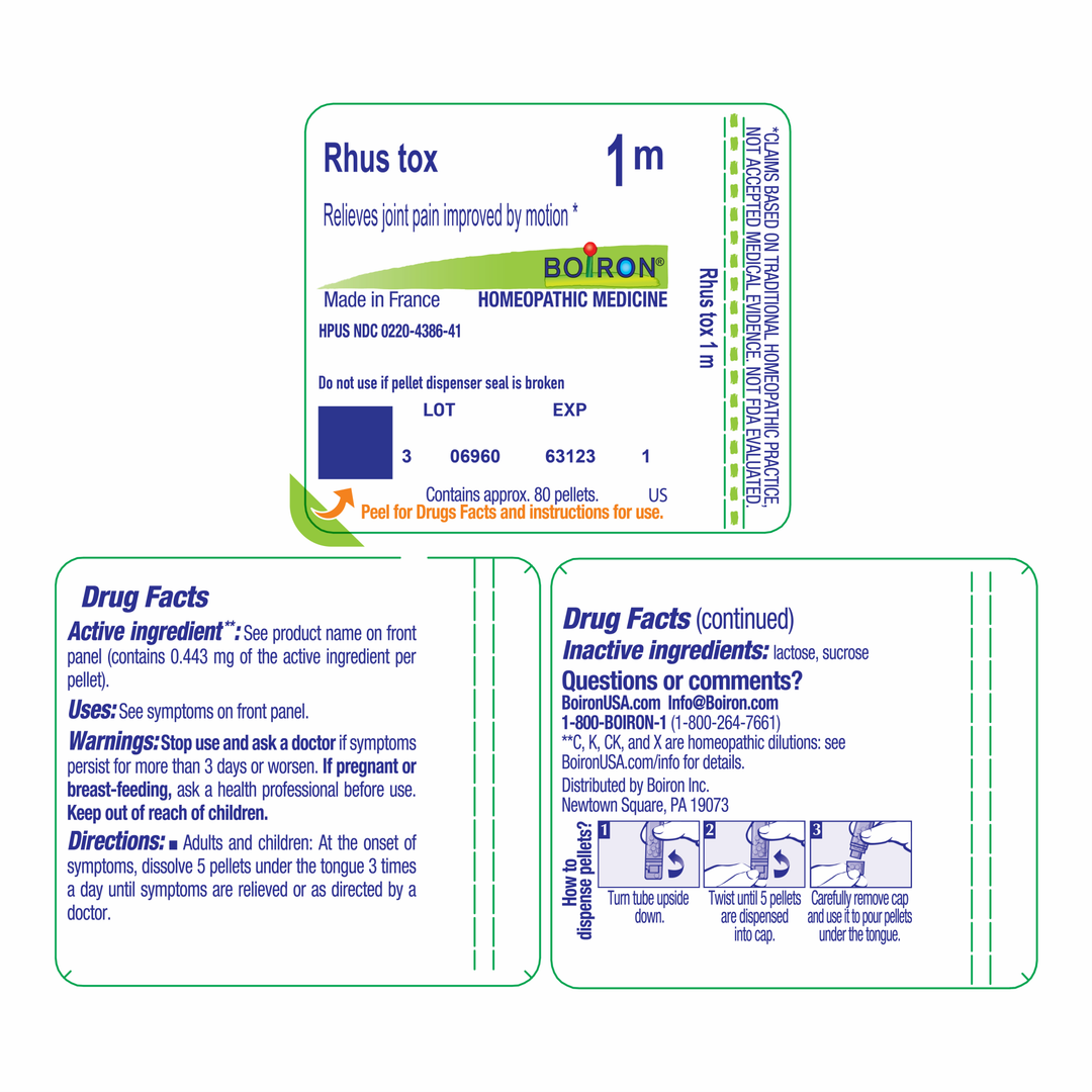 Rhus toxicodendron 1M 80 Pellets