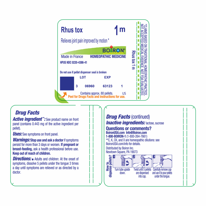 Rhus toxicodendron 1M 80 Pellets