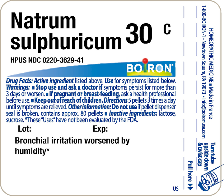 Natrum sulphuricum 30C 80 Pellets