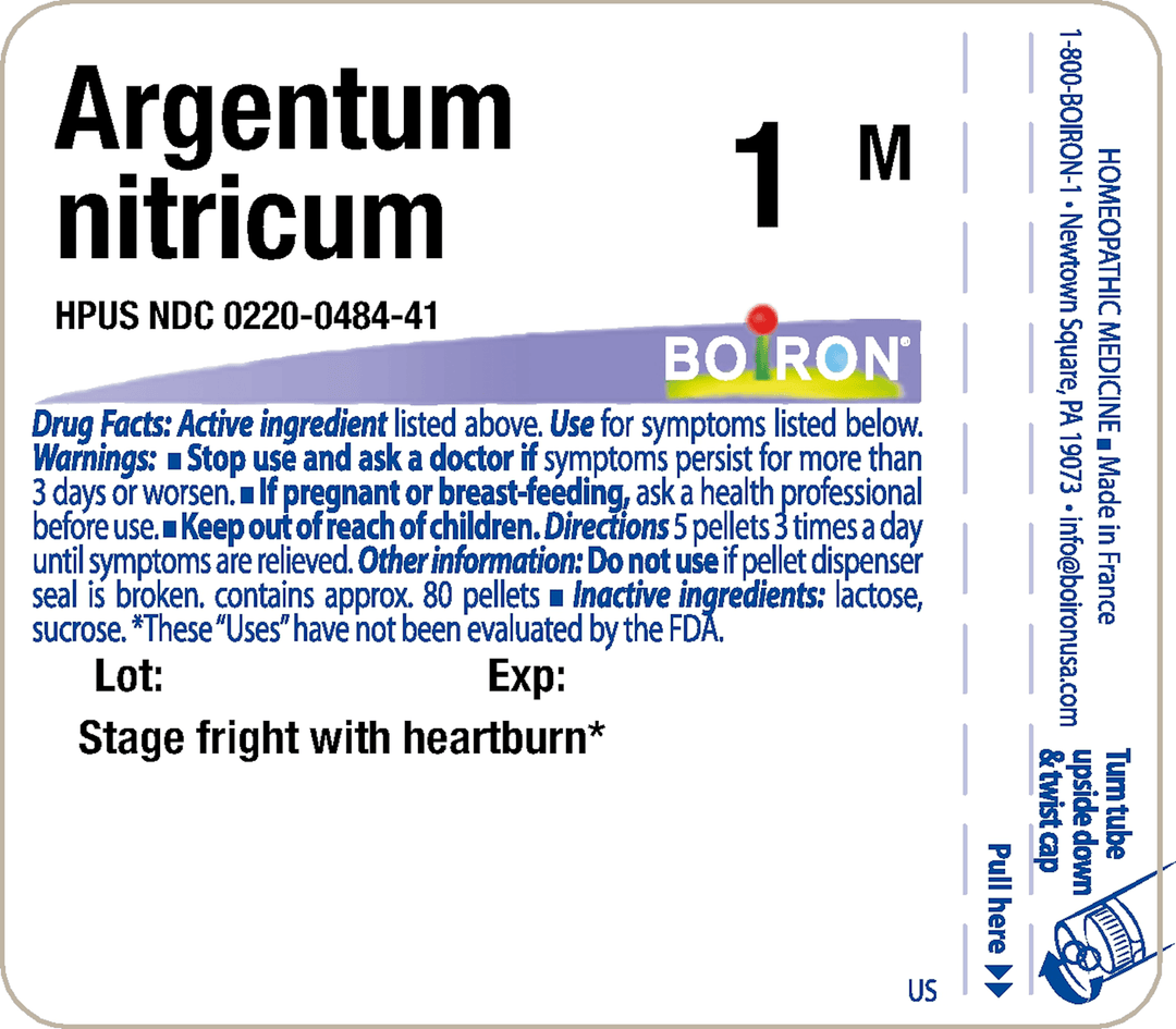 Argentum nitricum 1M 80 Pellets - FAR HILLS PHARMACY STORE