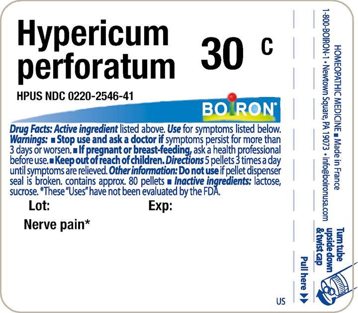 Hypericum perforatum 30C 80 Pellets