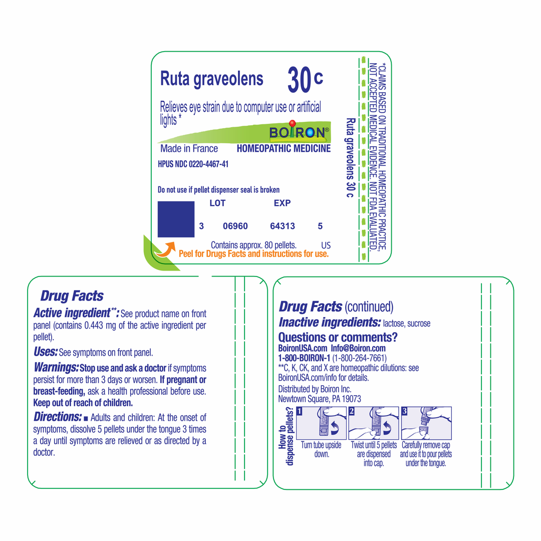 Ruta graveolens 30C 80 Pellets