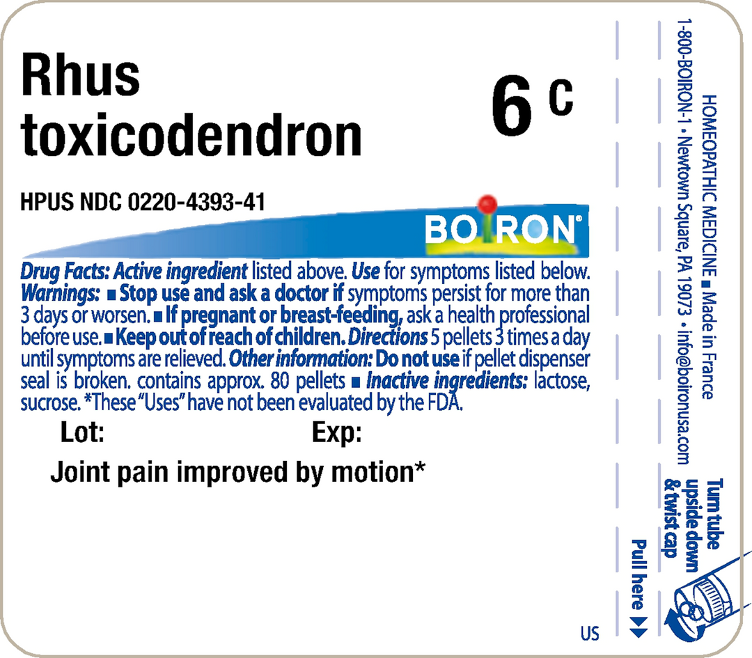 Rhus toxicodendron 6C 80 Pellets