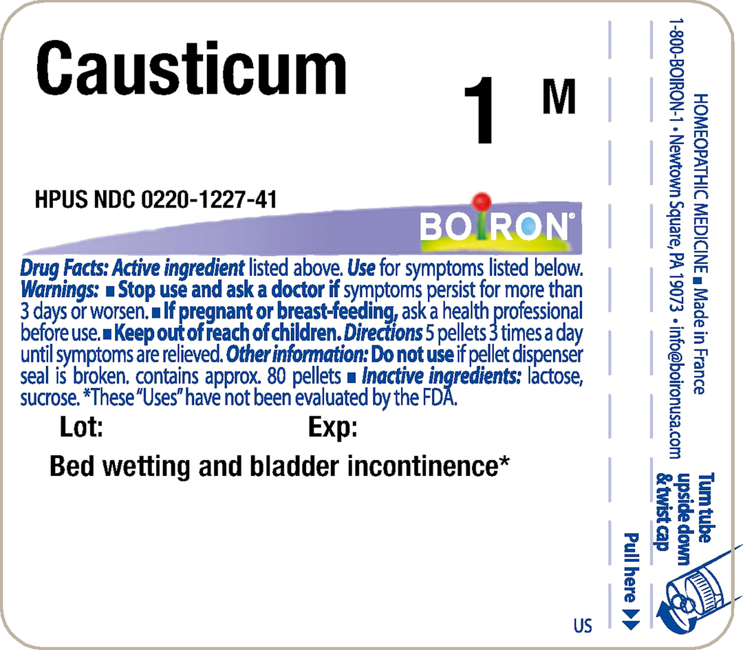 Causticum 1M 80 Pellets