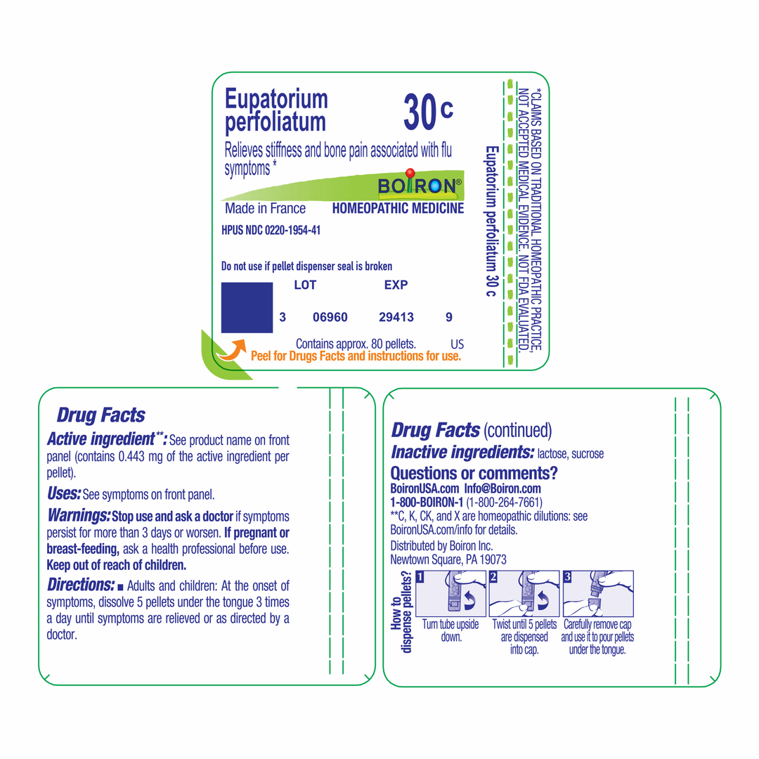 Eupatorium perfoliatum 30C 80 Pellets