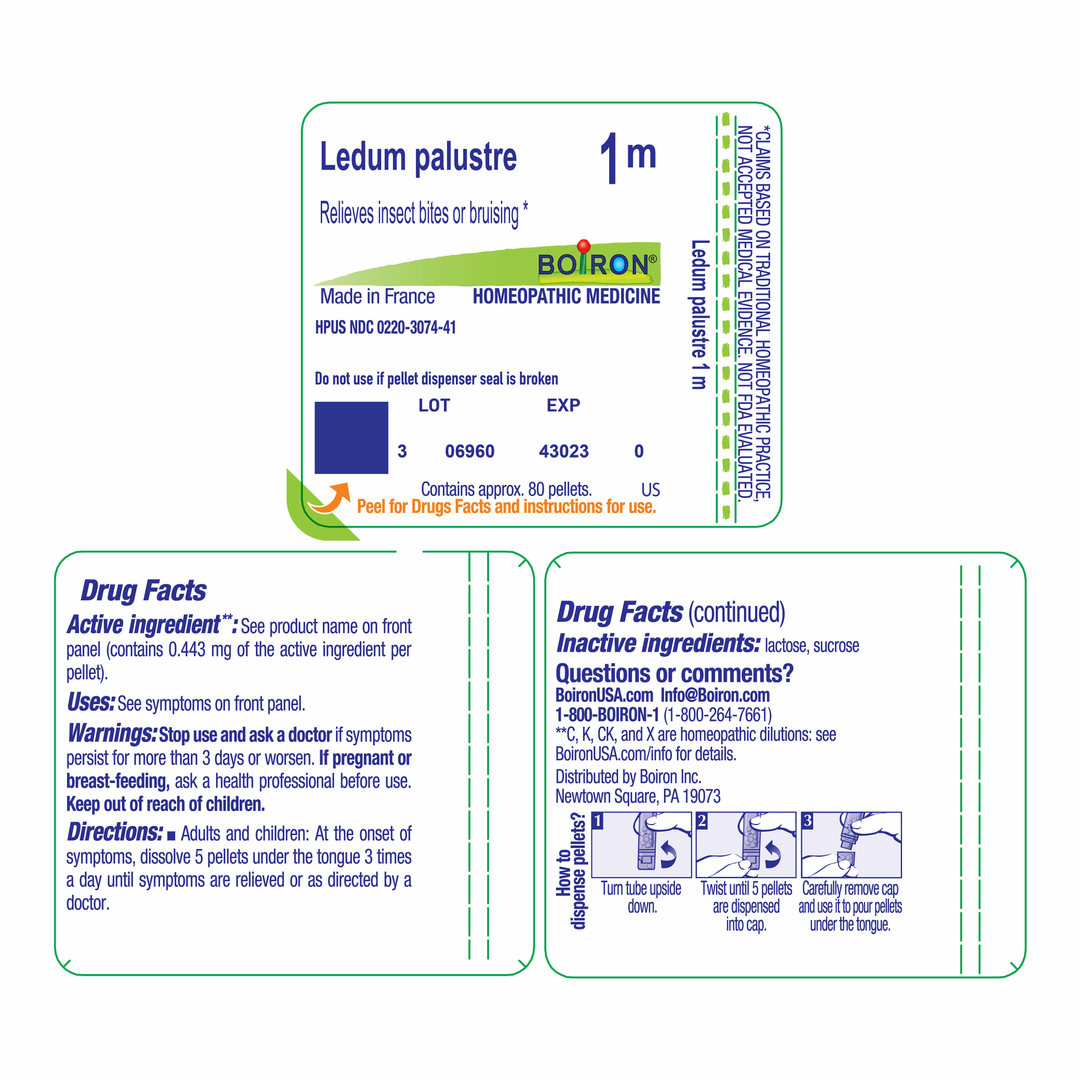 Ledum palustre 1M 80 Pellets