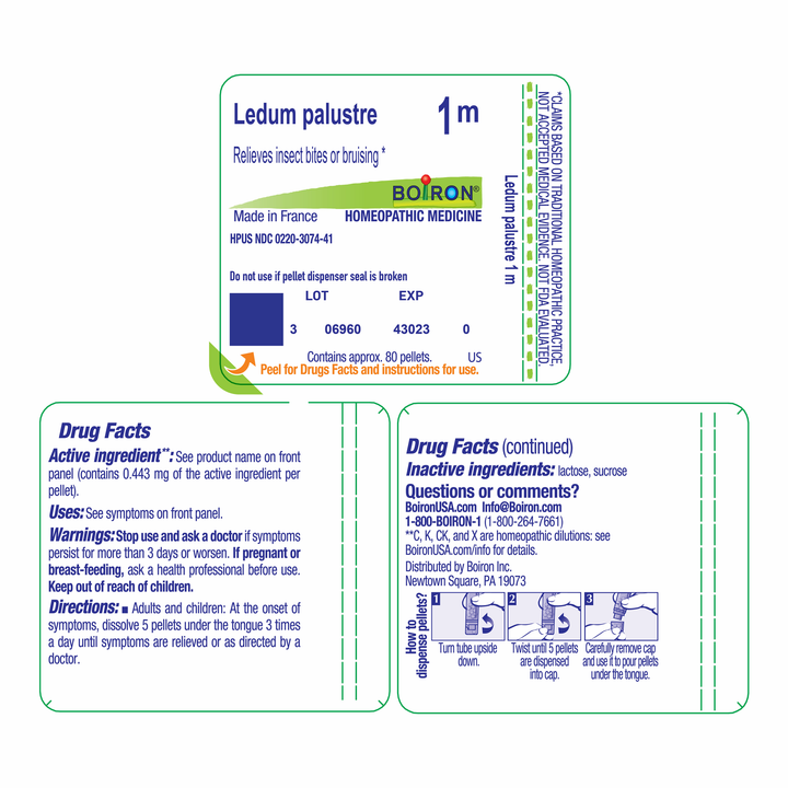 Ledum palustre 1M 80 Pellets