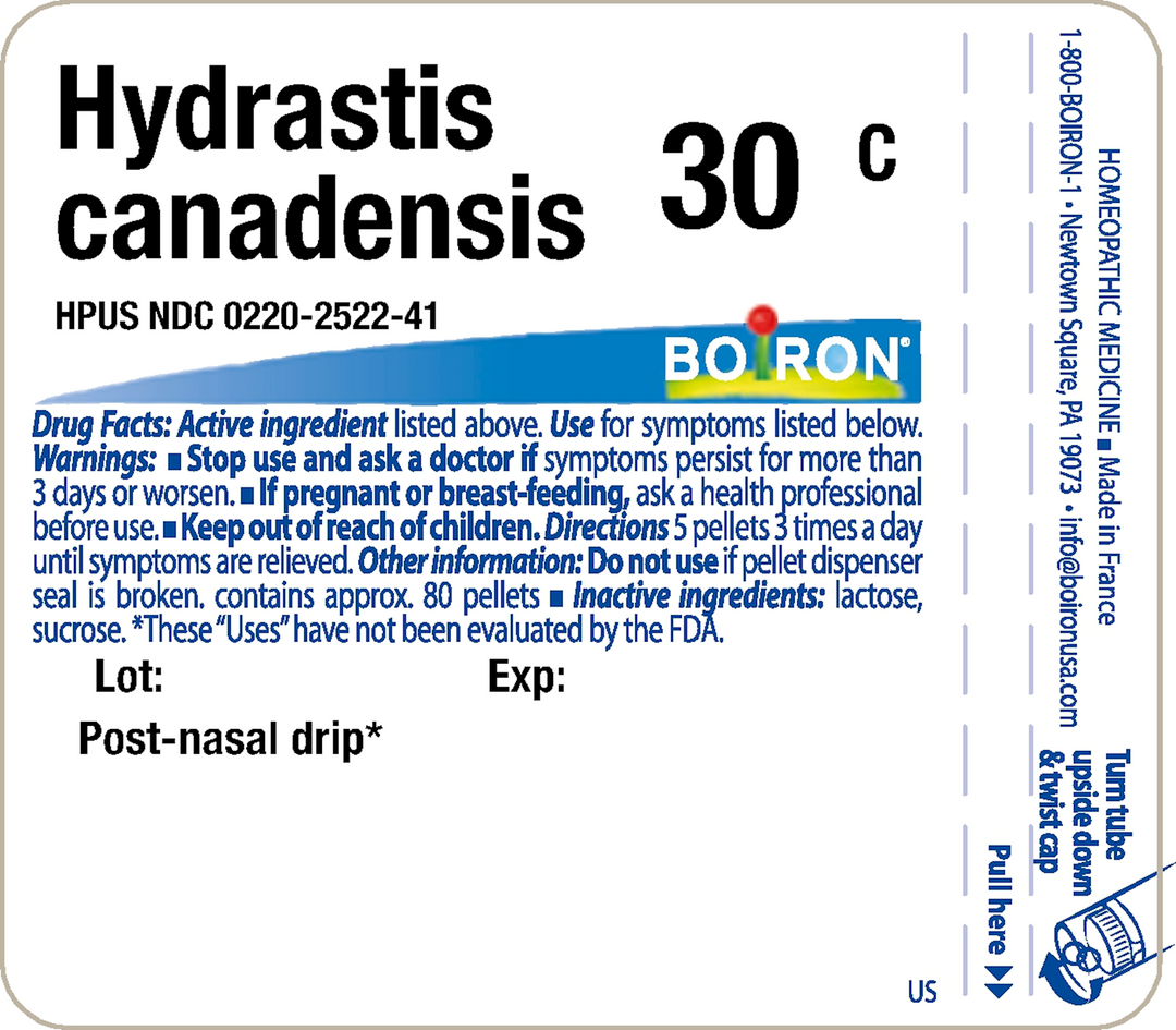 Hydrastis canadensis 30C 80 Pellets - FAR HILLS PHARMACY STORE