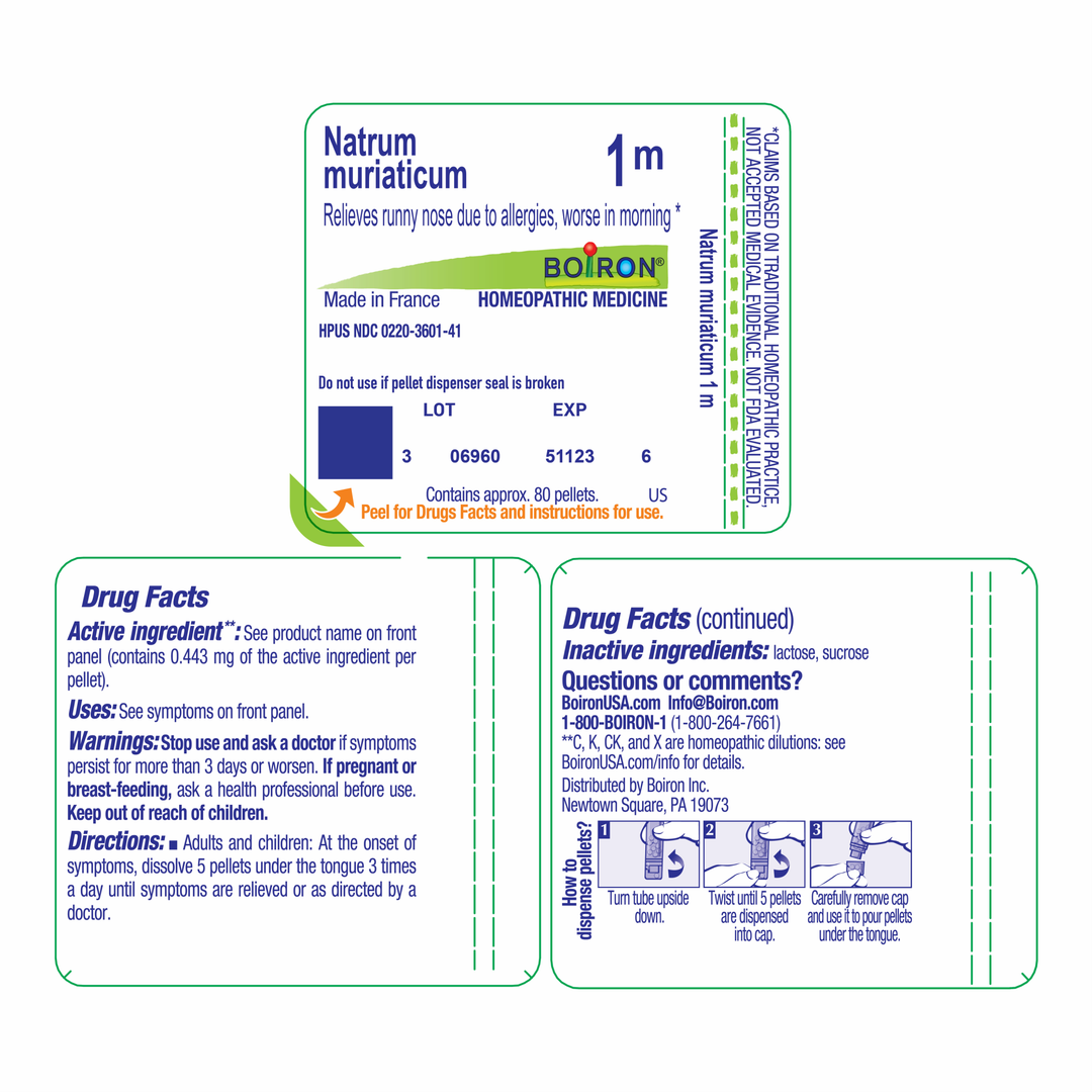 Natrum muriaticum 1M 80 Pellets