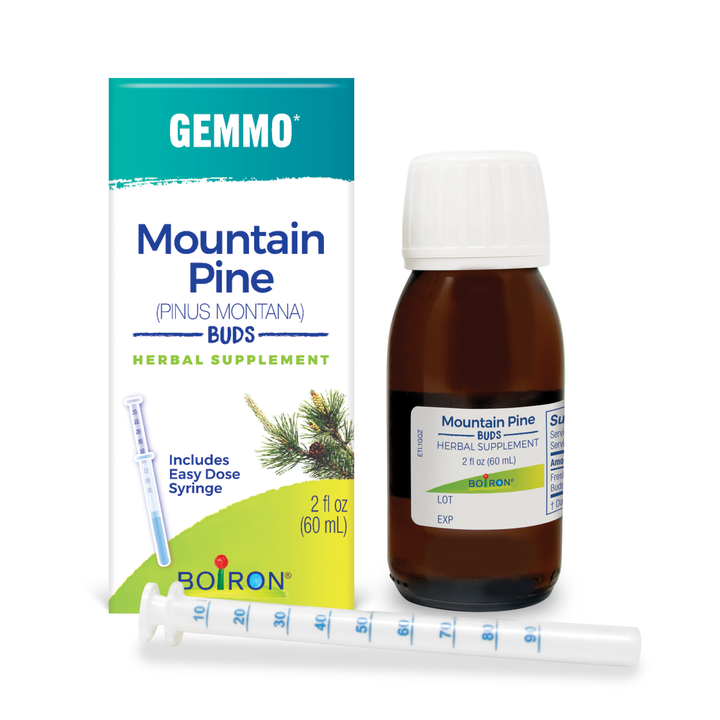 Gemmo Mountain Pine Buds 2 fl oz