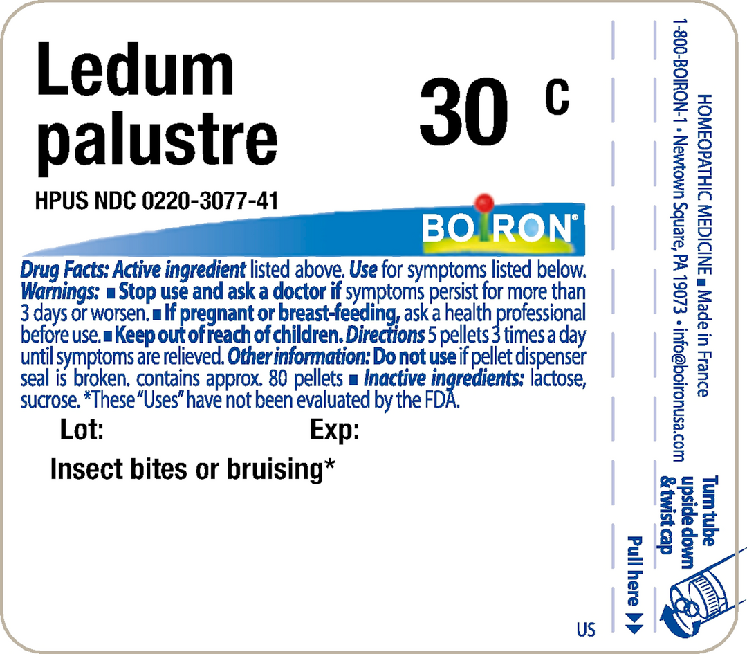 Ledum palustre 30C 80 Pellets