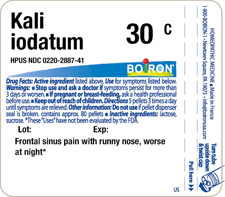 Kali iodatum 30C 80 Pellets