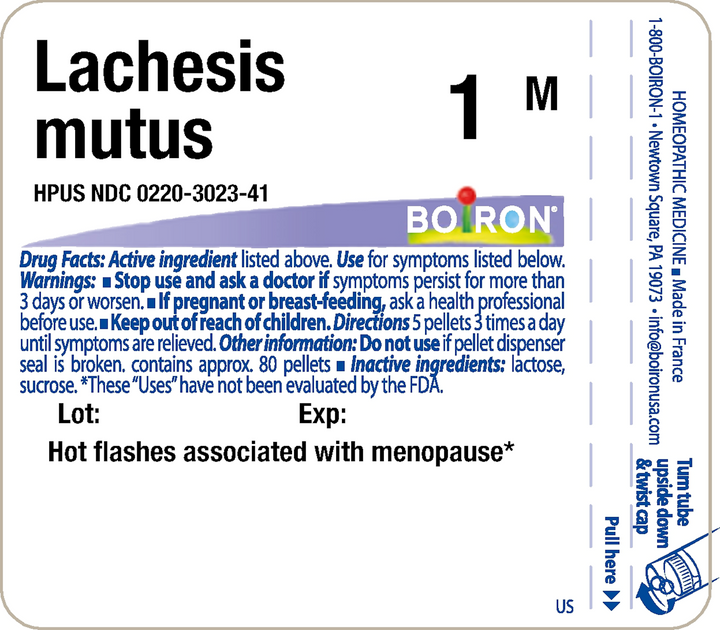 Lachesis mutus 1M 80 Pellets