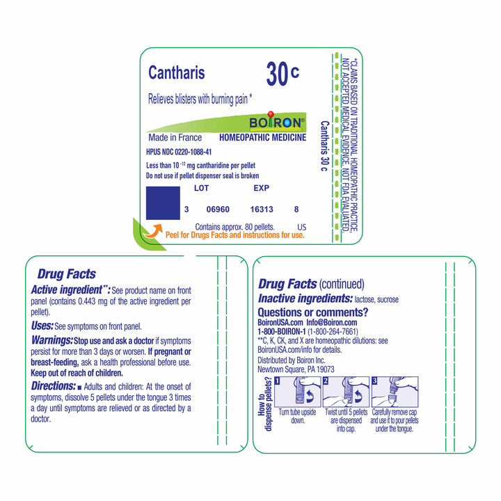 Cantharis 30C 80 Pellets