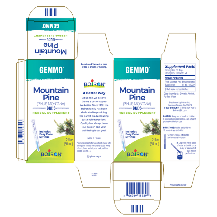 Gemmo Mountain Pine Buds 2 fl oz