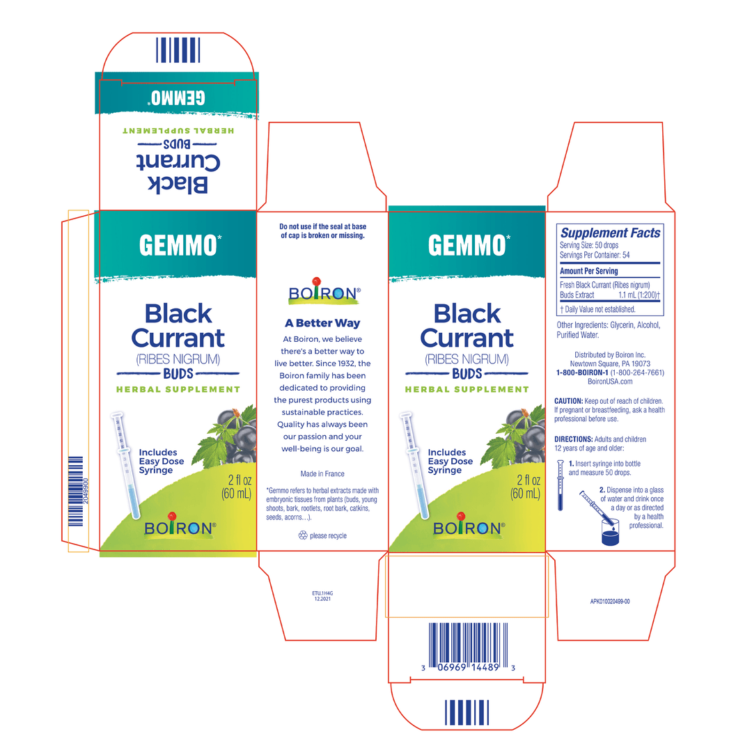 Gemmo Black Currant Buds 2 fl oz - FAR HILLS PHARMACY STORE