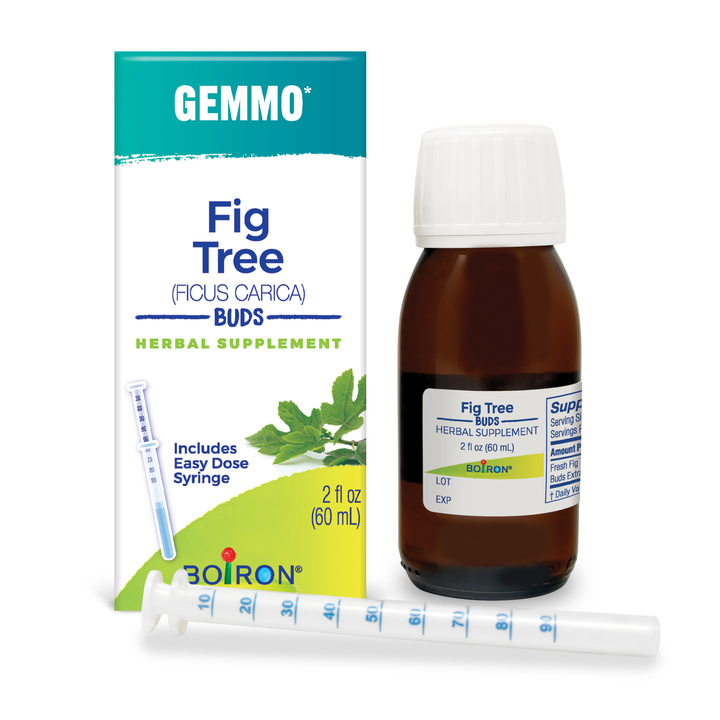 Gemmo Fig Tree Buds 2 fl oz