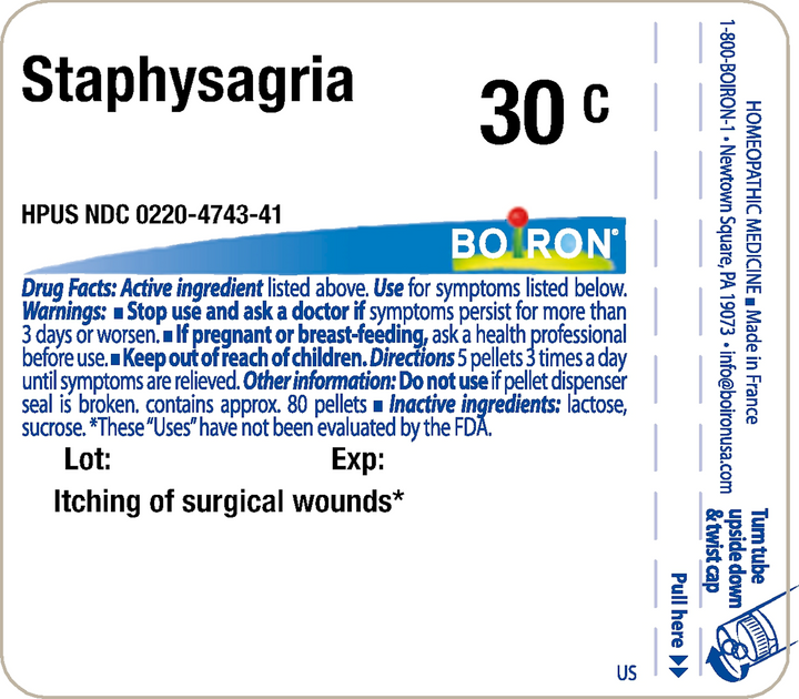 Staphysagria 30C 80 Pellets - FAR HILLS PHARMACY STORE