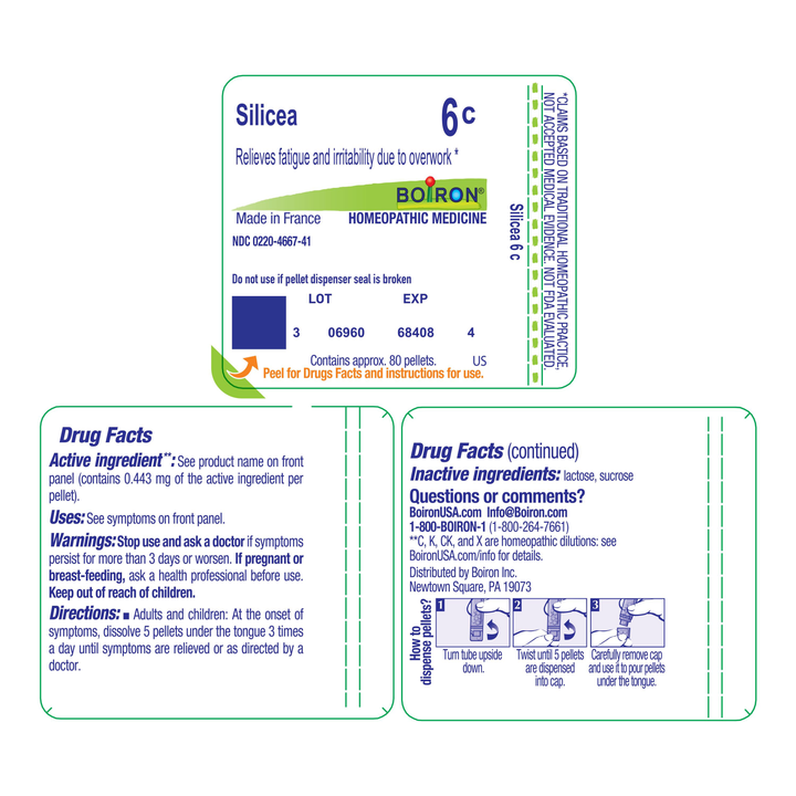 Silicea 6C 80 Pellets