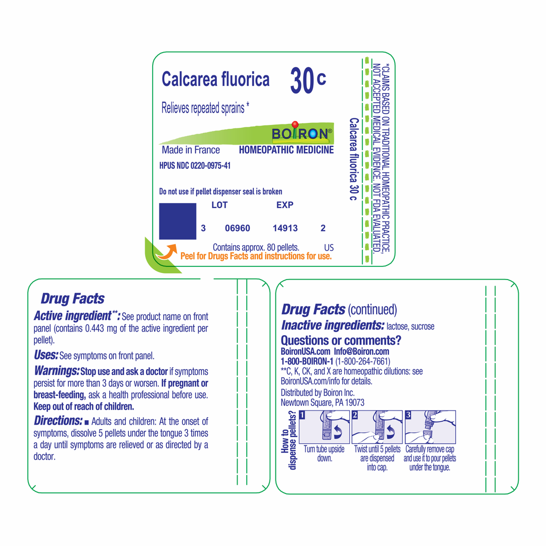 Calcarea fluorica 30C 80 Pellets