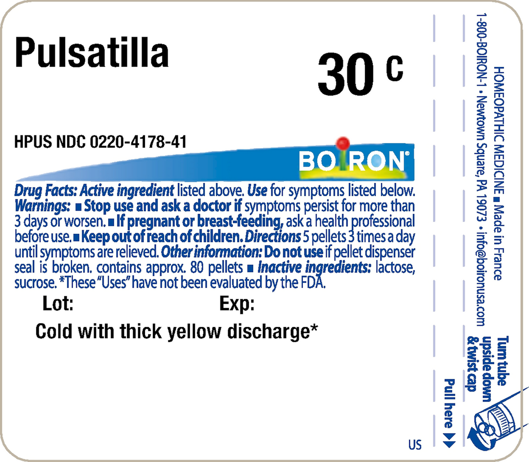 Pulsatilla 30C 80 Pellets