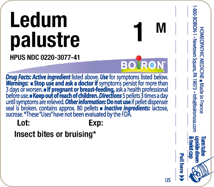 Ledum palustre 1M 80 Pellets