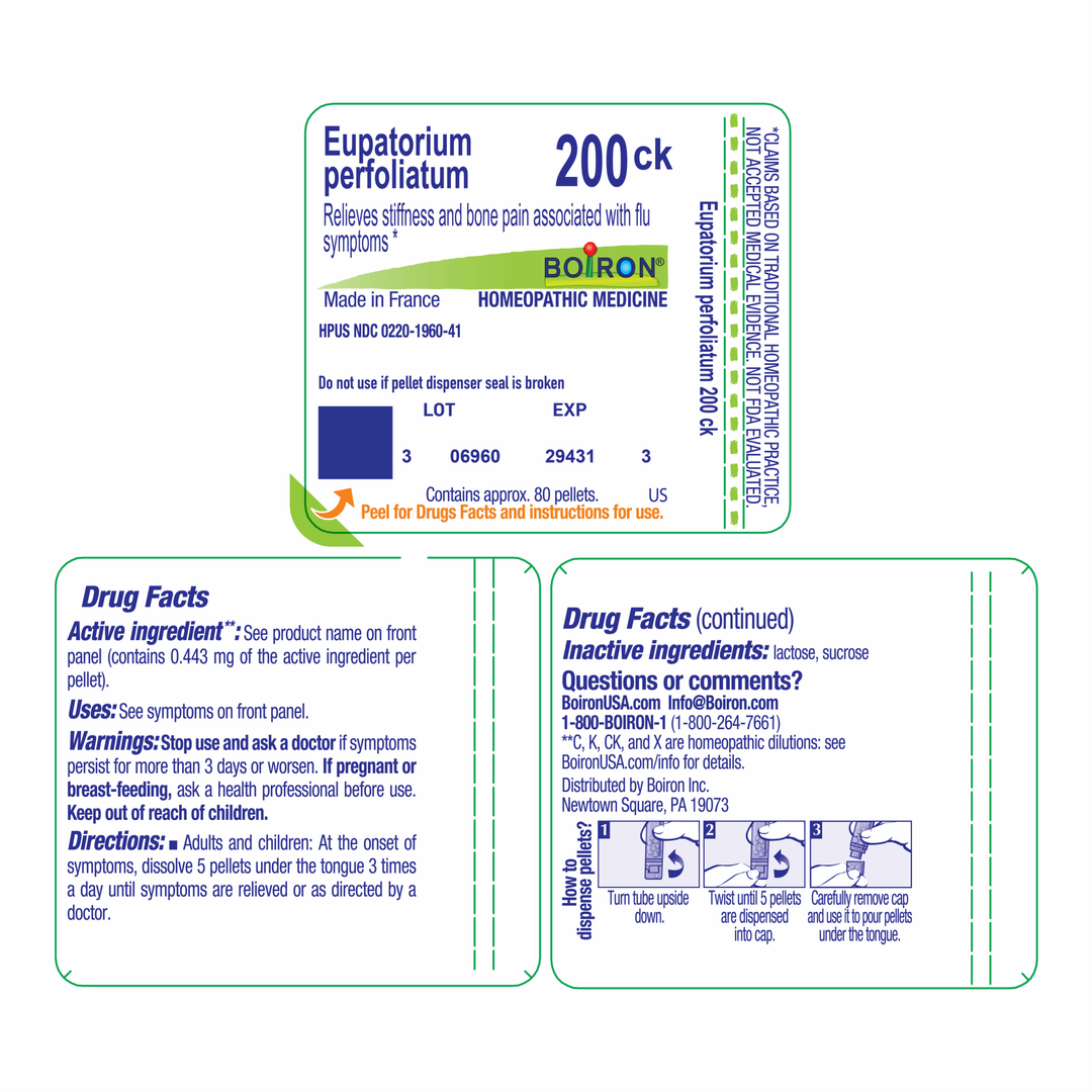 Eupatorium perfoliatum 200CK 80 Pellets