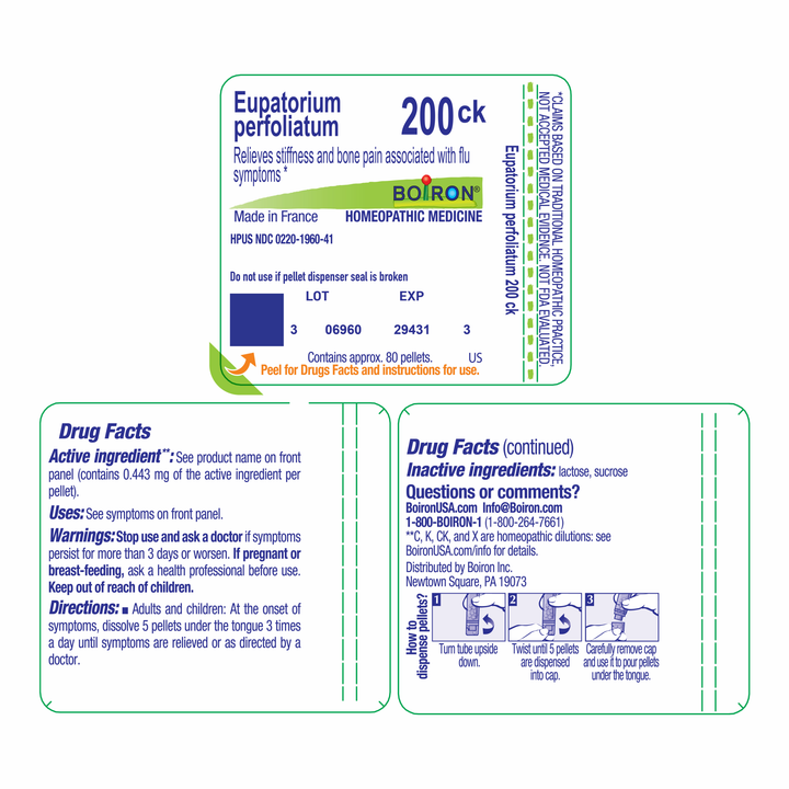 Eupatorium perfoliatum 200CK 80 Pellets