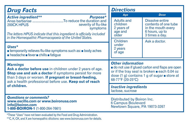 Oscillococcinum 6 doses