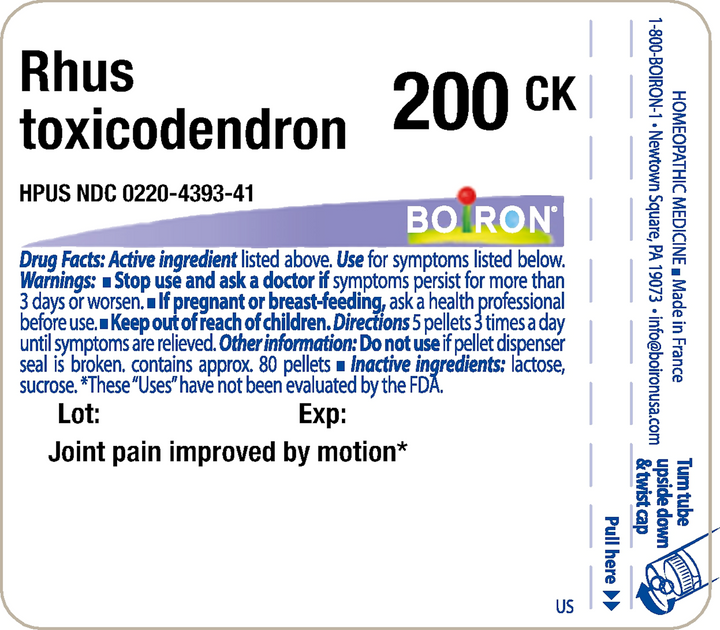 Rhus toxicodendron 200CK 80 Pellets