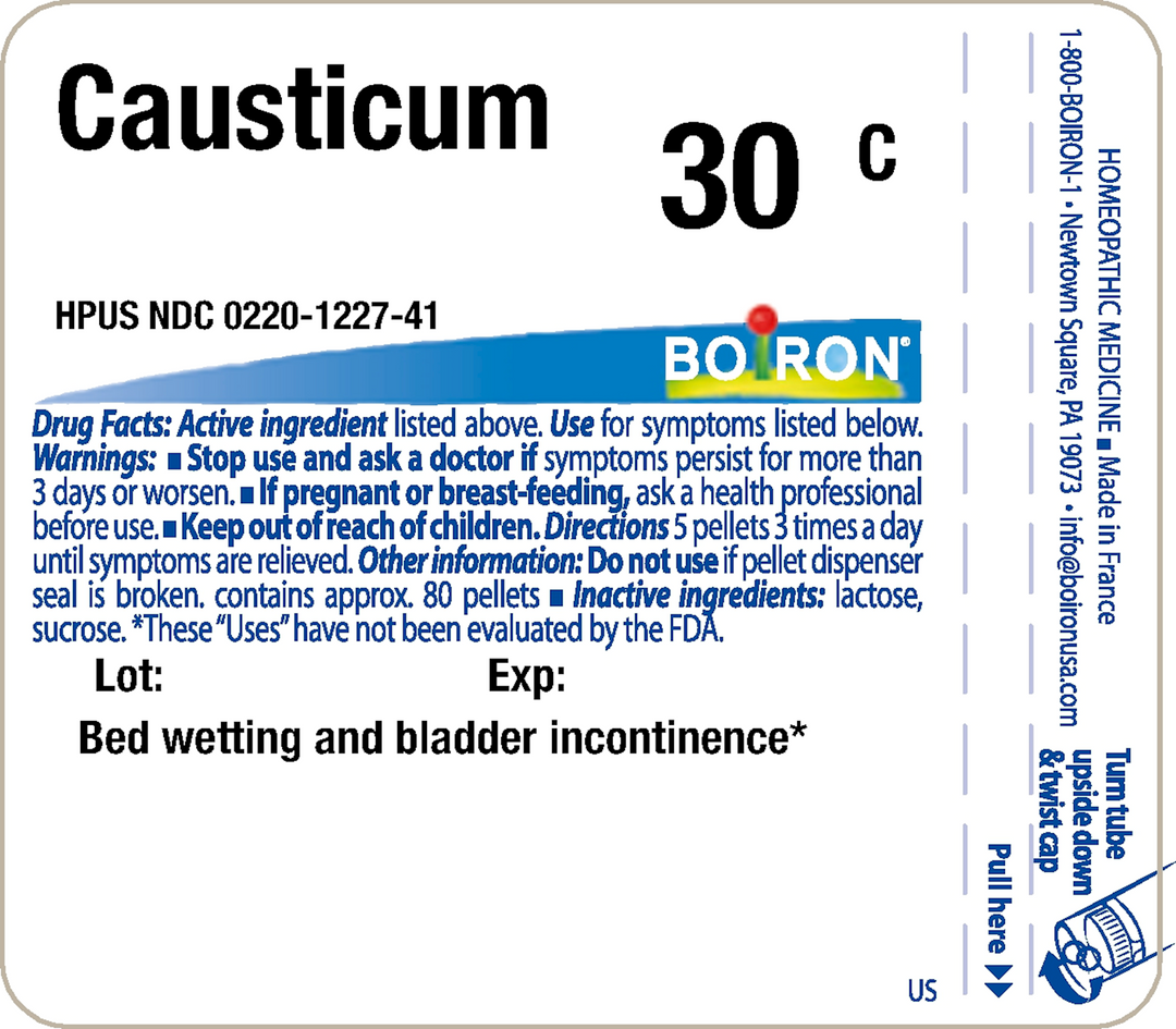 Causticum 30C 80 Pellets