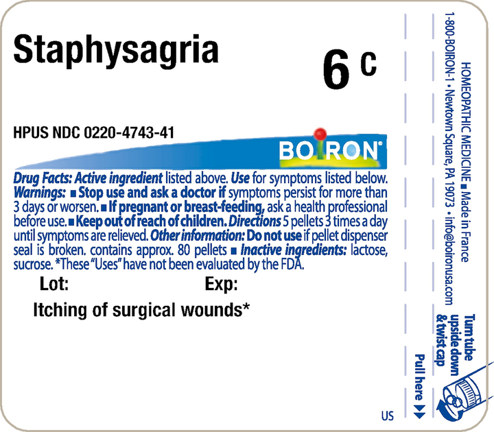 Staphysagria 6C 80 Pellets