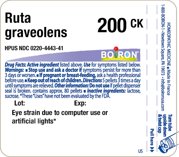 Ruta graveolens 200CK 80 Pellets