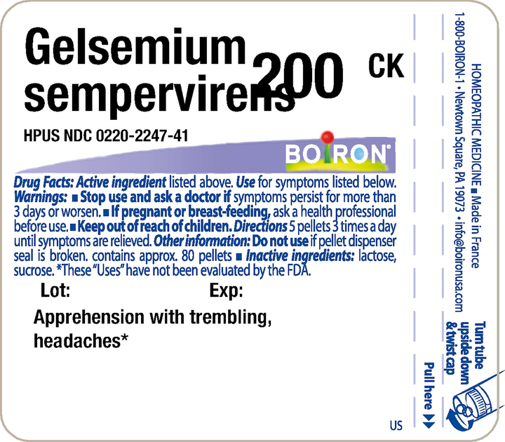 Gelsemium sempervirens 200CK 80 Pellets