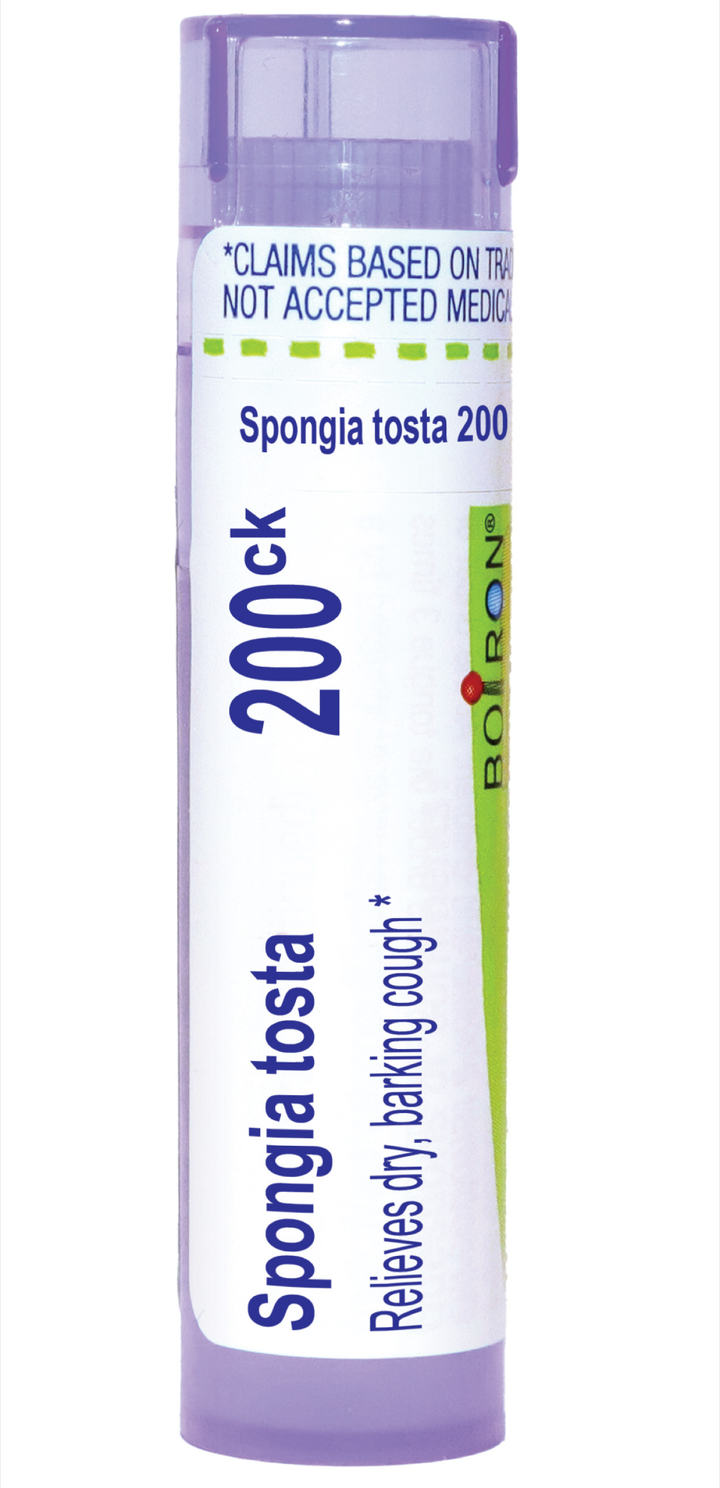 Spongia tosta 200CK 80 Pellets