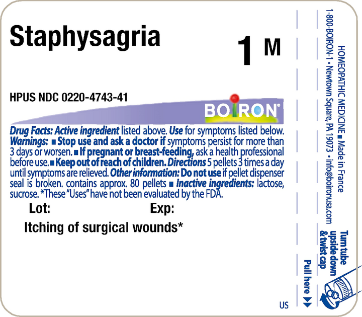 Staphysagria 1M 80 Pellets