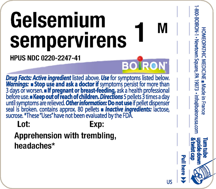 Gelsemium sempervirens 1M 80 Pellets