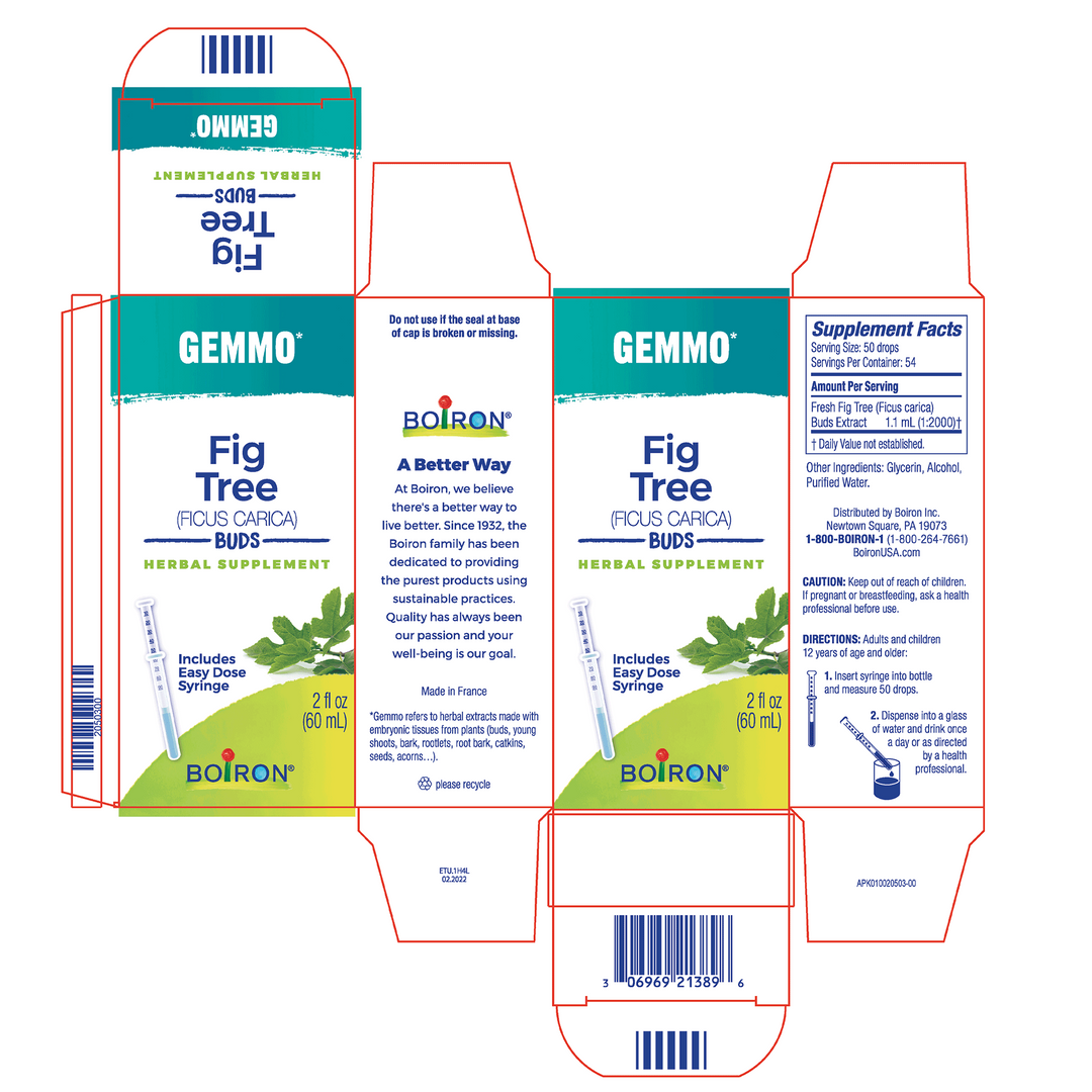 Gemmo Fig Tree Buds 2 fl oz