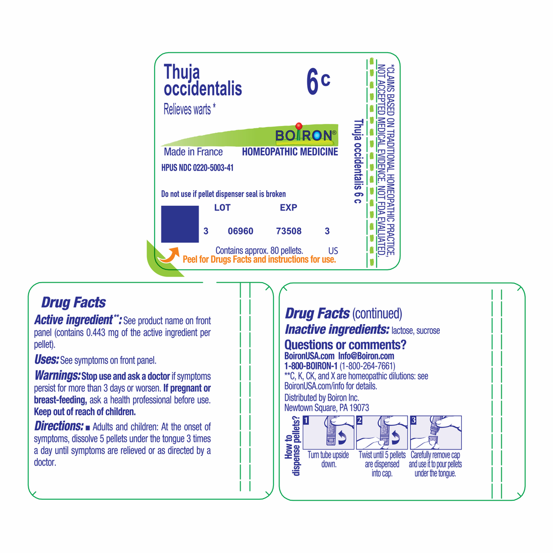 Thuja occidentalis 6C 80 Pellets