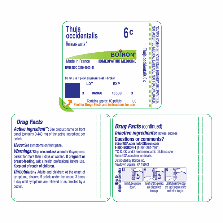 Thuja occidentalis 6C 80 Pellets