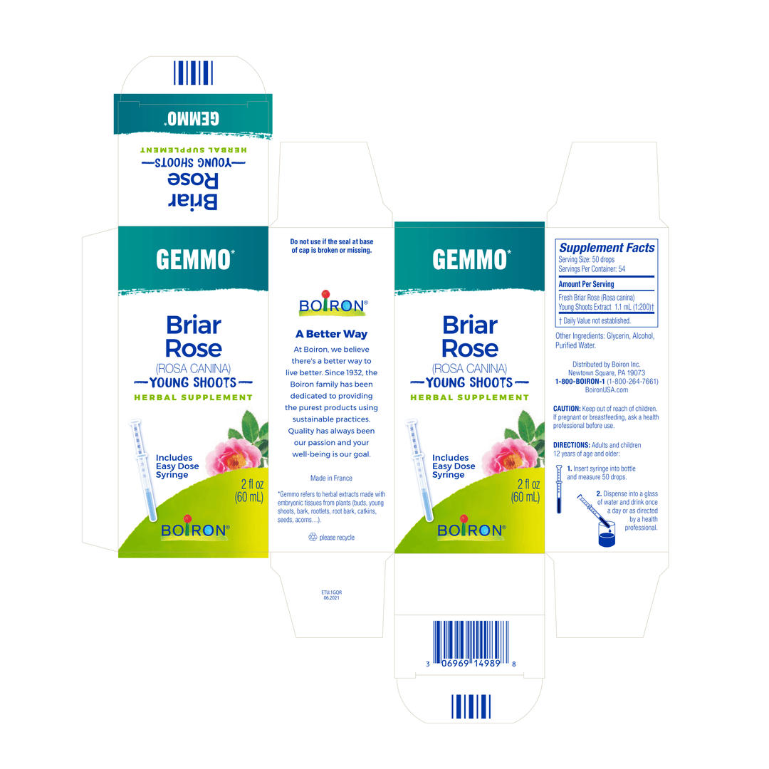Gemmo Briar Rose Young Shoots 2 fl oz - FAR HILLS PHARMACY STORE