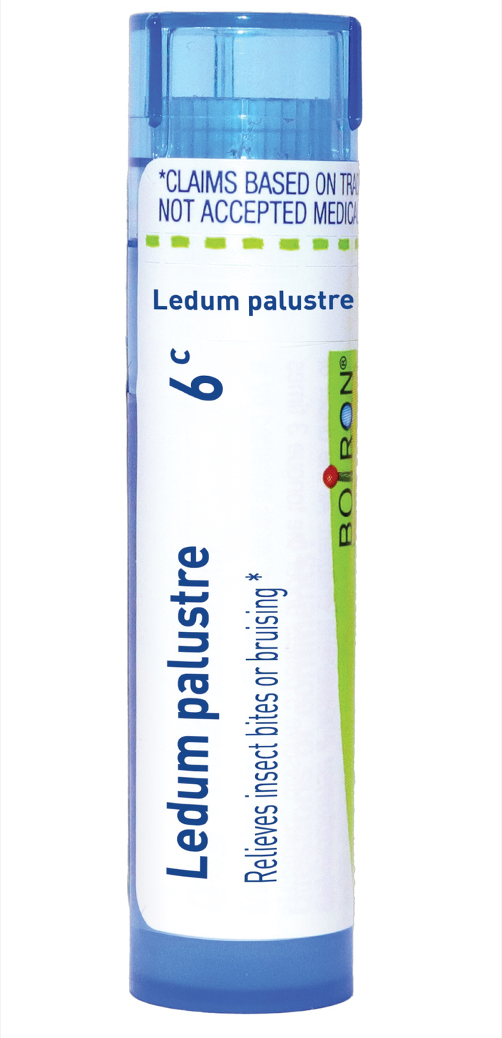 Ledum palustre 6C 80 Pellets