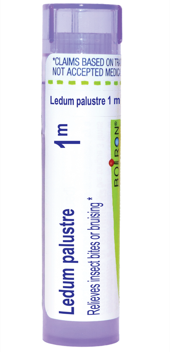 Ledum palustre 1M 80 Pellets